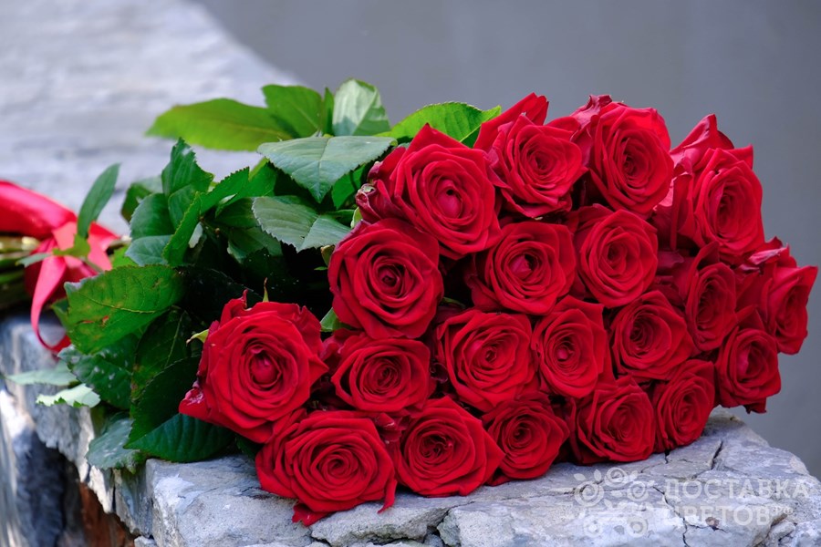 Розы Ред Наоми